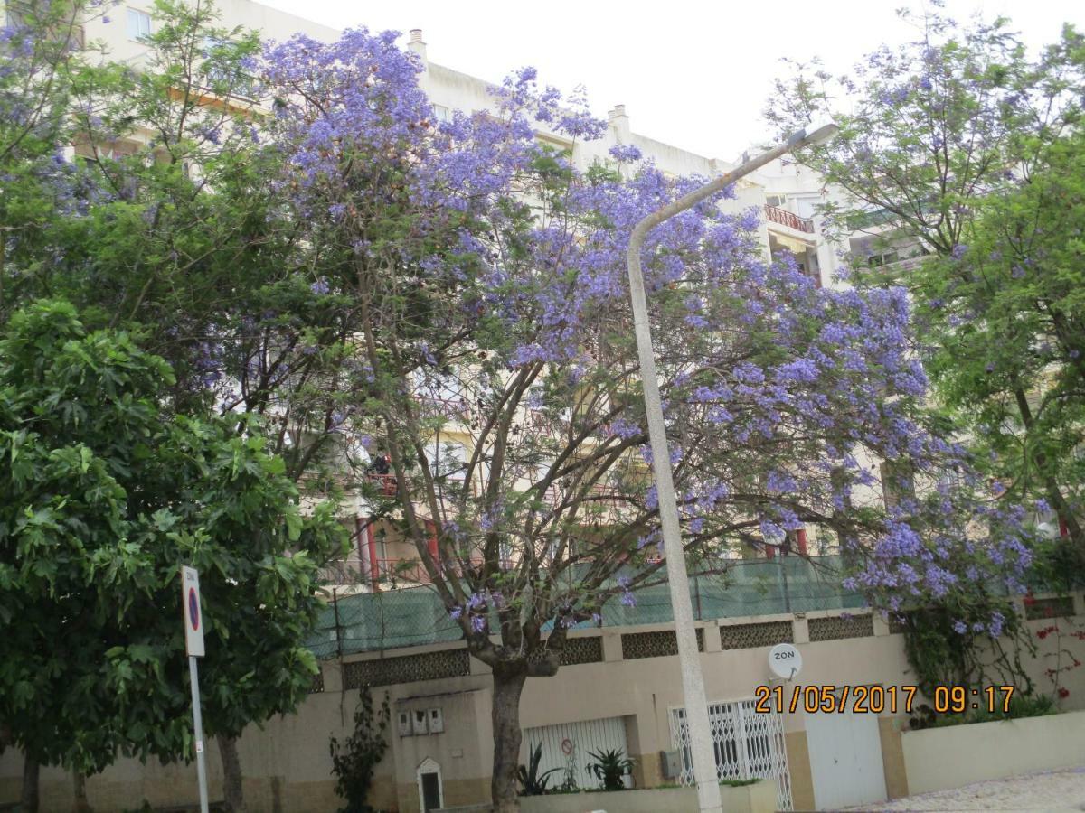 Edificio Caique C Leilighet Armação de Pêra Eksteriør bilde
